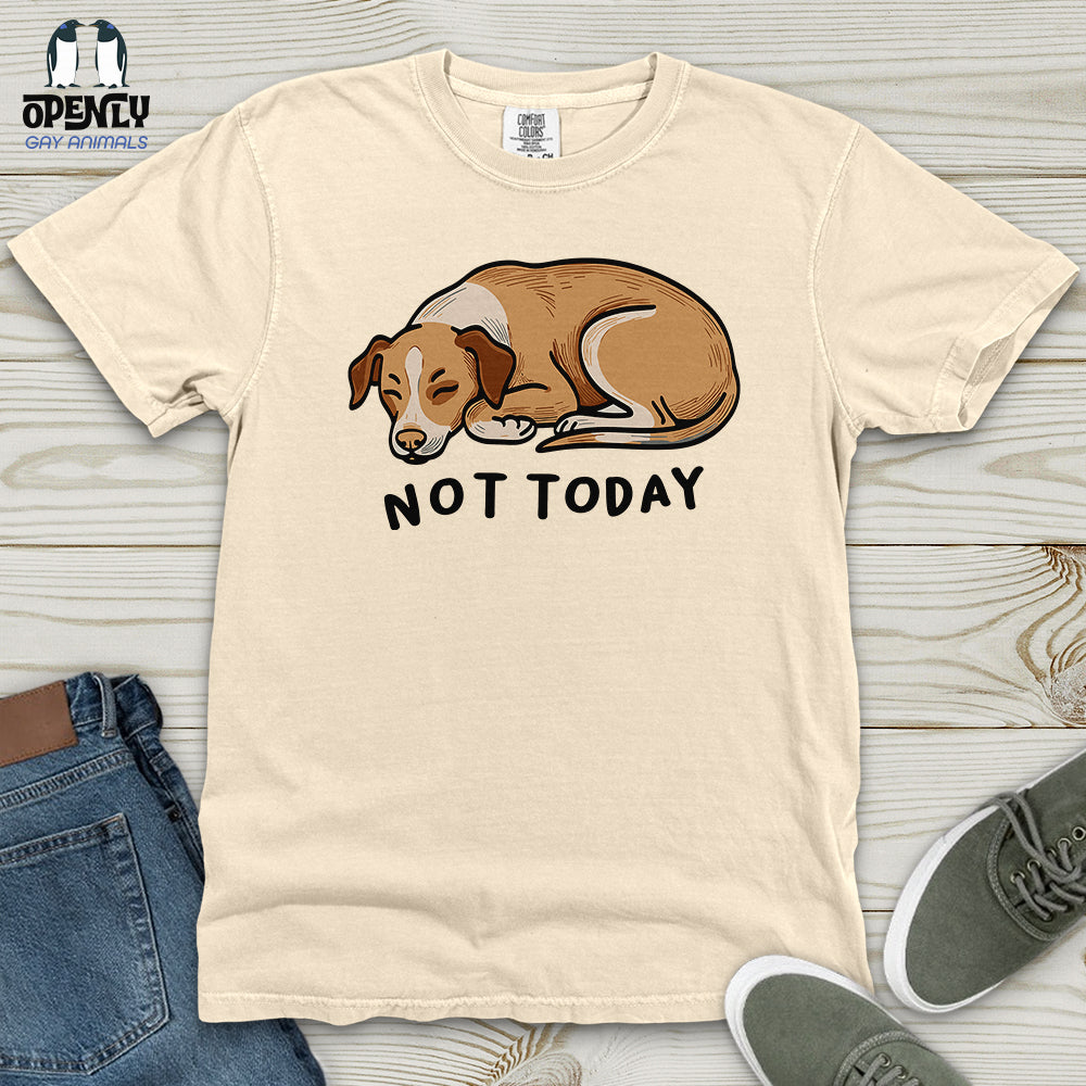 Not Today 02 Heavy Cotton Comfort Colors Tee