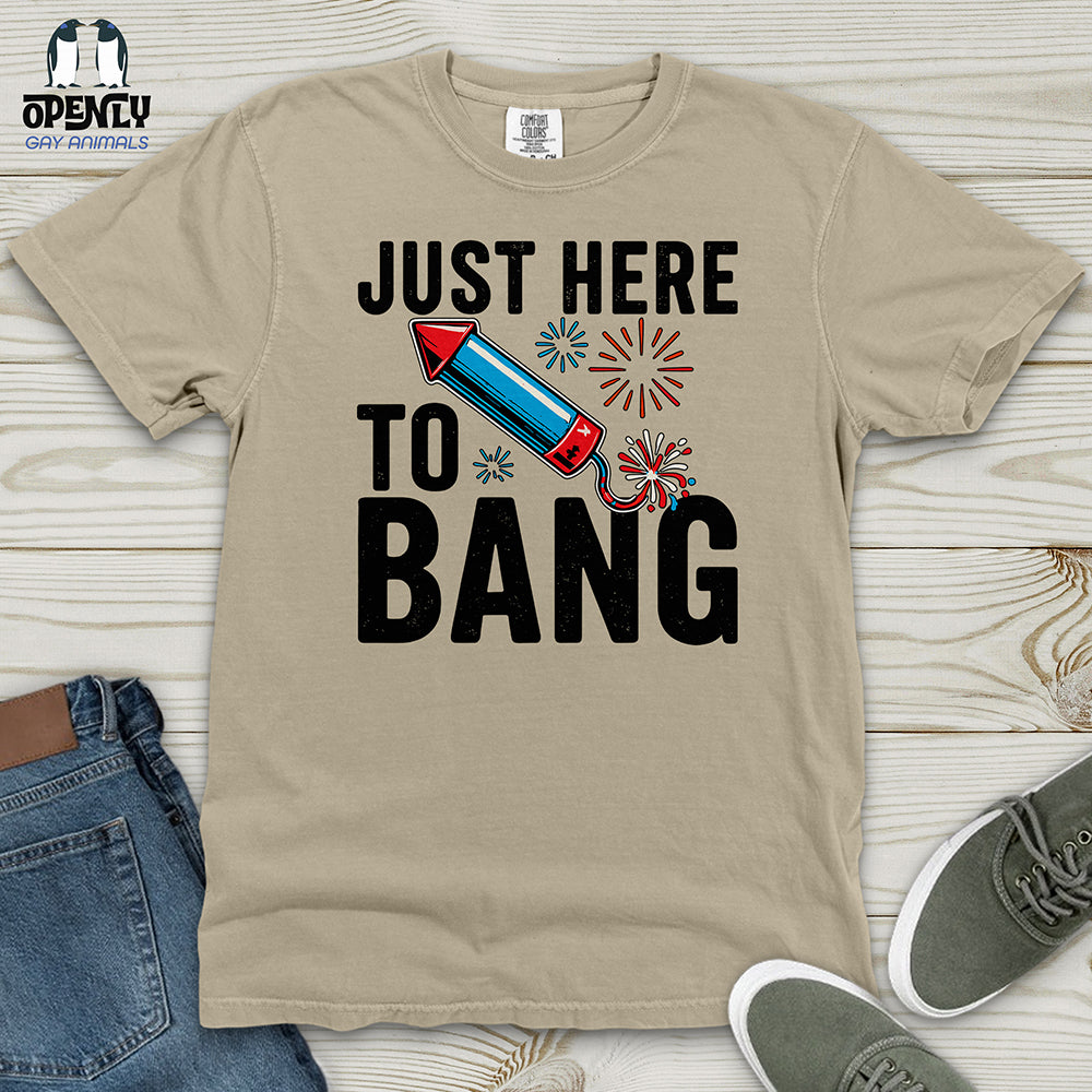 Just Here To Bang 02 Heavy Cotton Comfort Colors Tee