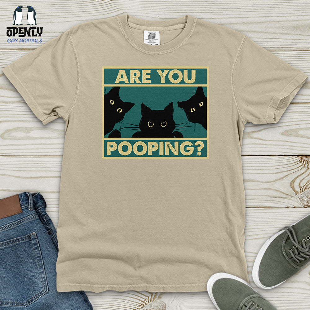 Are You Pooping Heavy Cotton Comfort Colors Tee