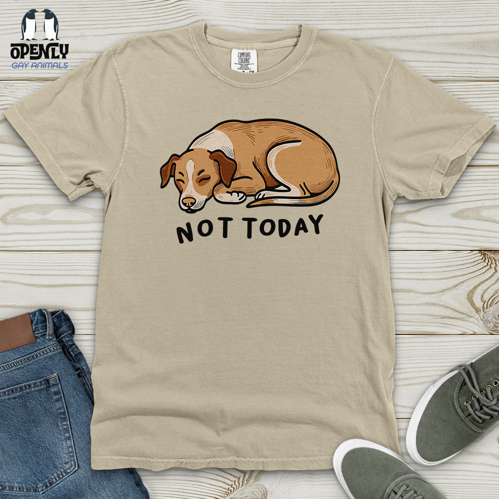 Not Today 02 Heavy Cotton Comfort Colors Tee