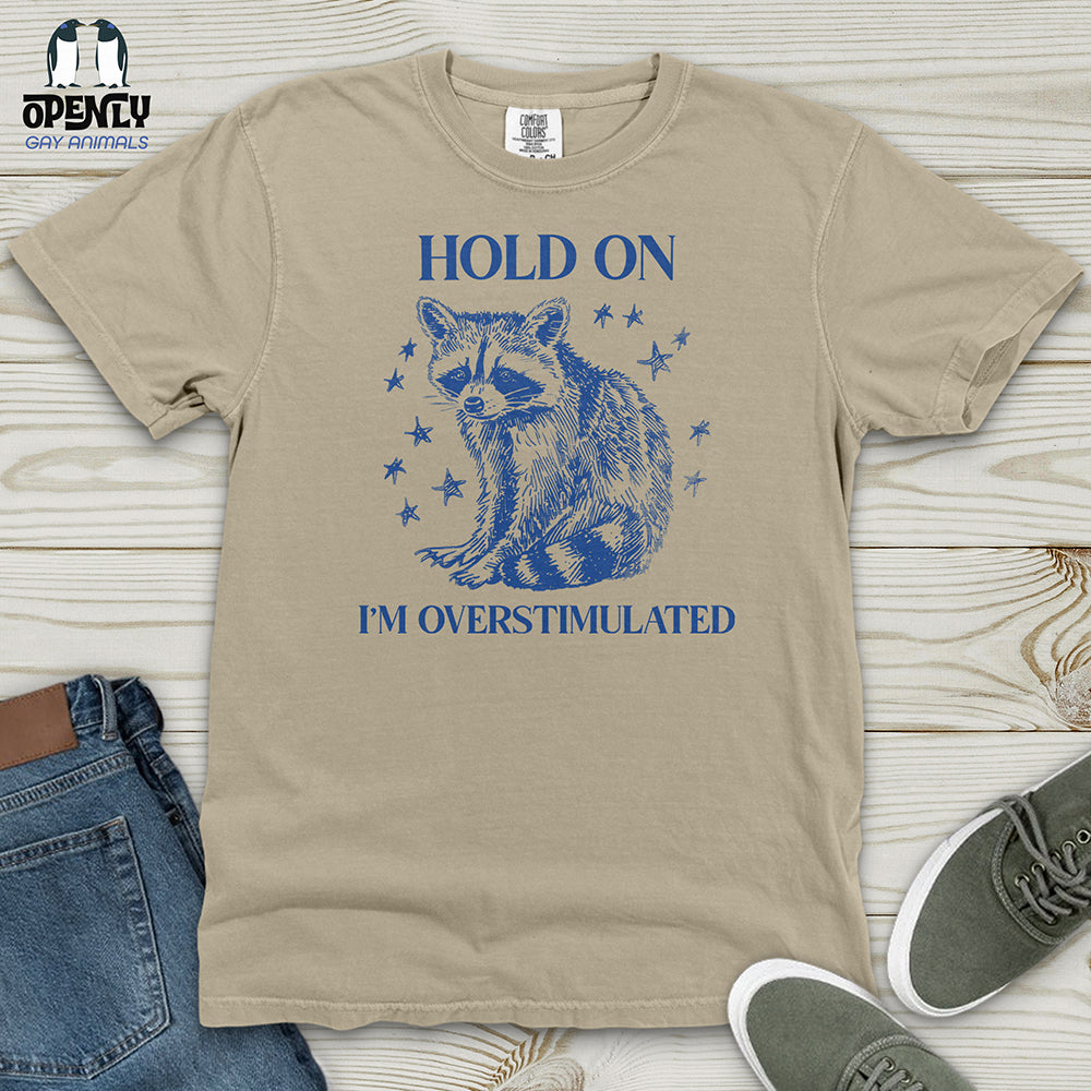 Hold on Heavy Cotton Comfort Colors Tee