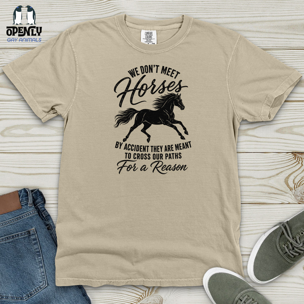We Don't Meet Heavy Cotton Comfort Colors Tee