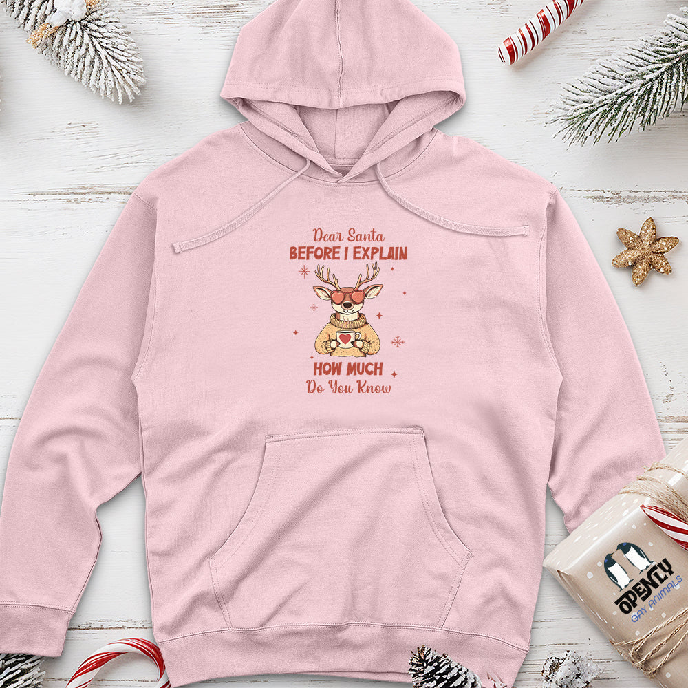 Dear Santa Before I Explain Unisex midweight hoodie
