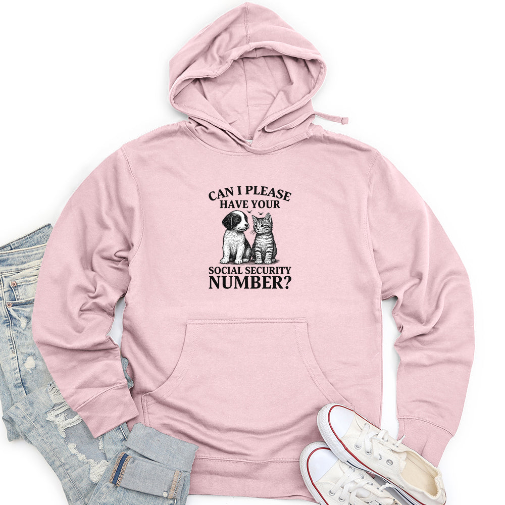 Can I Please Unisex midweight hoodie