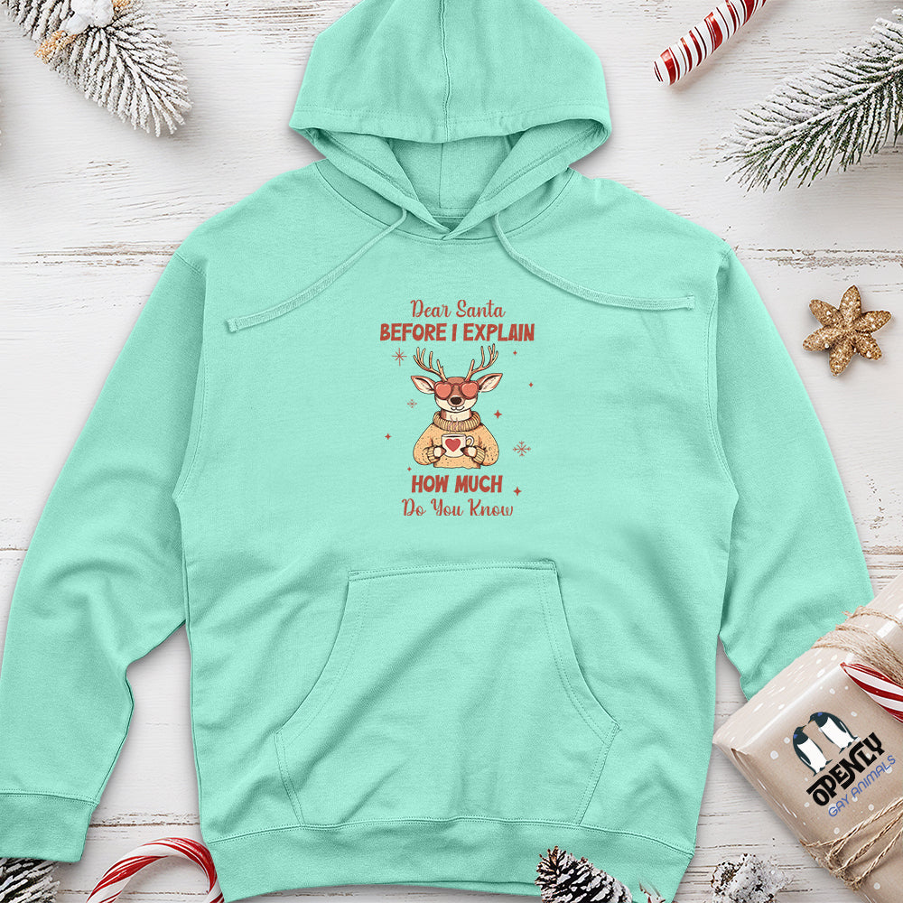 Dear Santa Before I Explain Unisex midweight hoodie