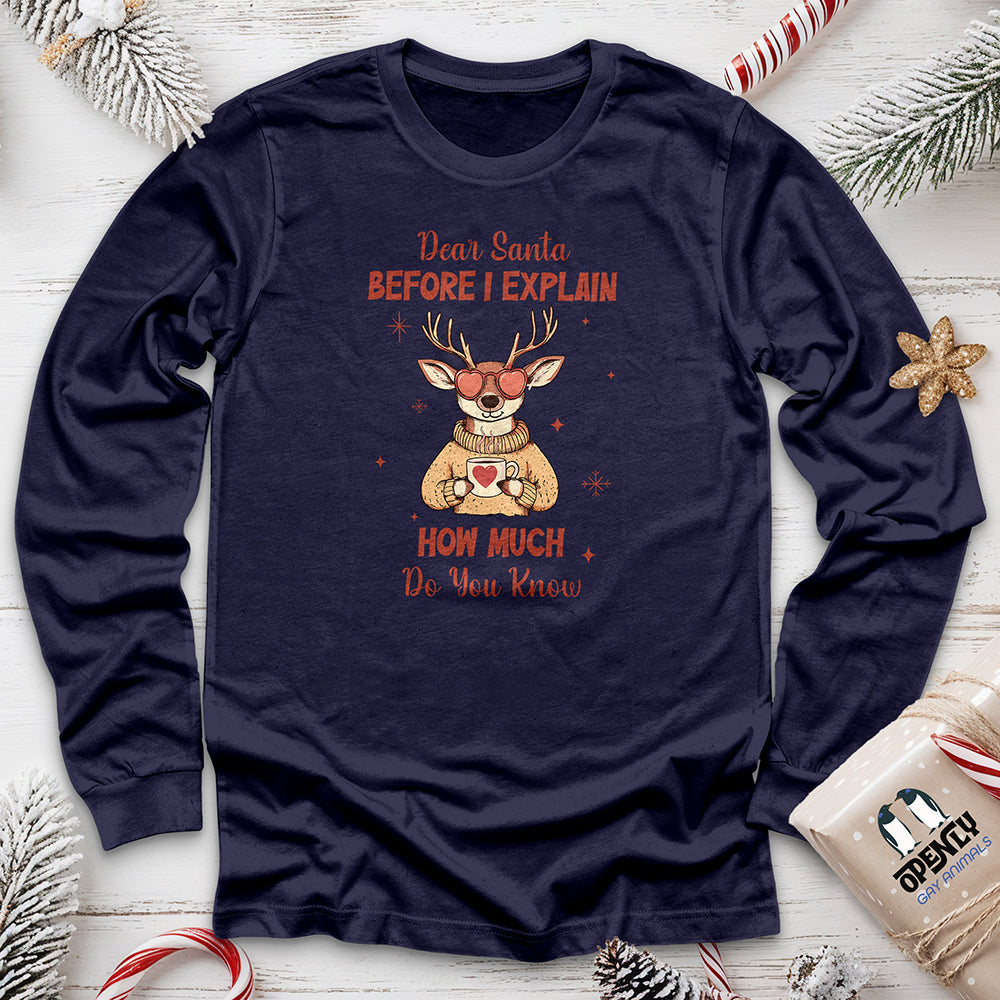 Dear Santa Before I Explain Unisex Long Sleeve Tee