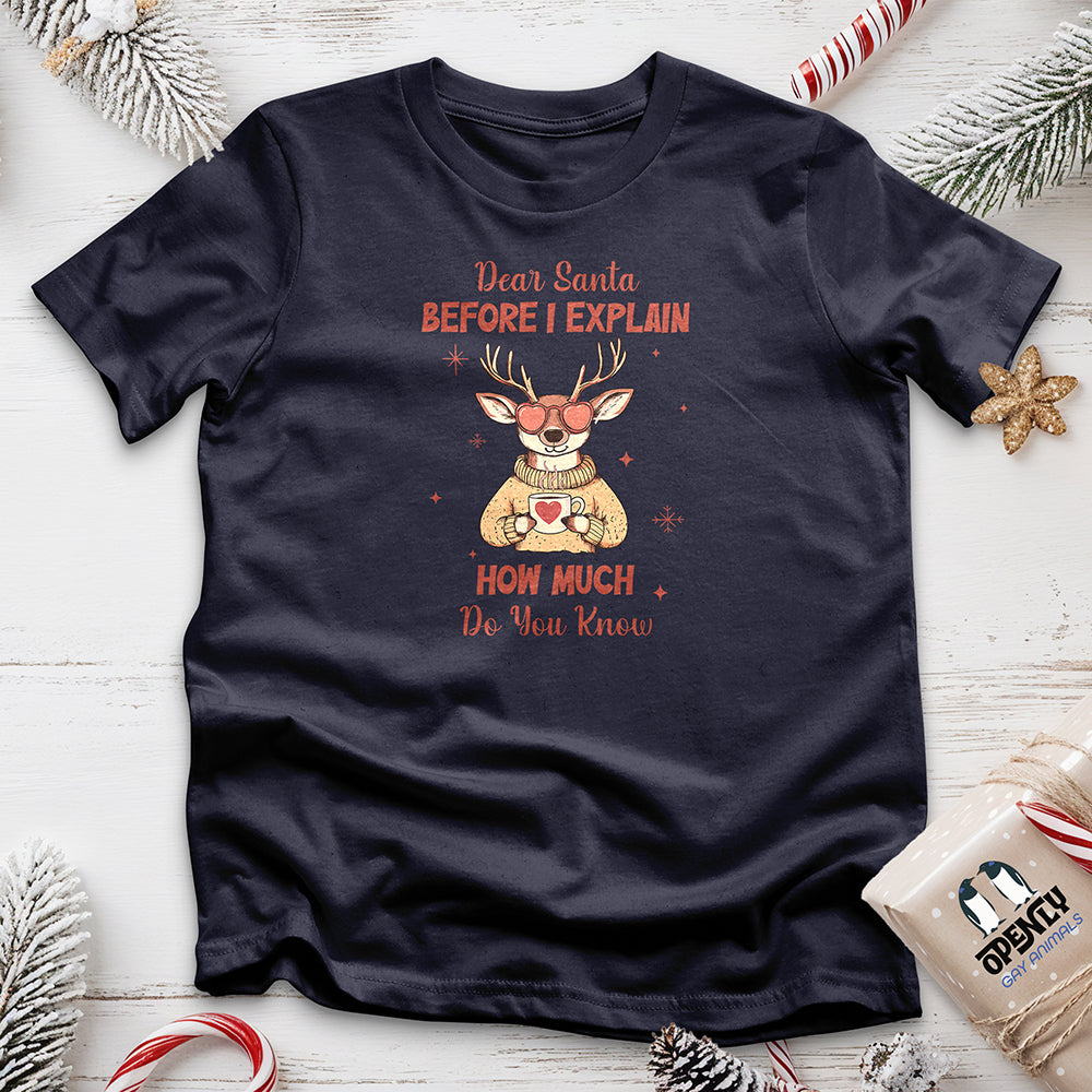 Dear Santa Before I Explain Unisex t-shirt