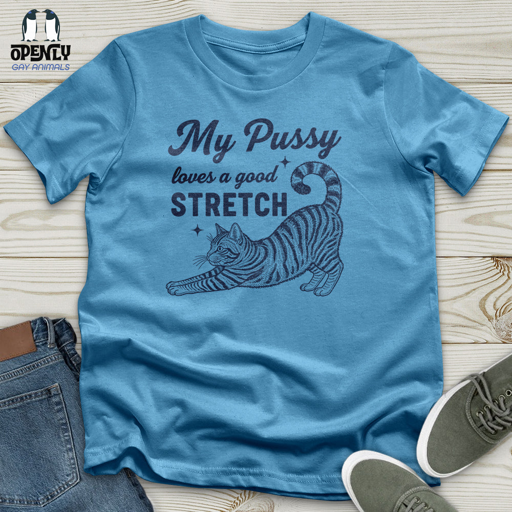 My Pussy Loves a Good Stretch Unisex T-Shirt