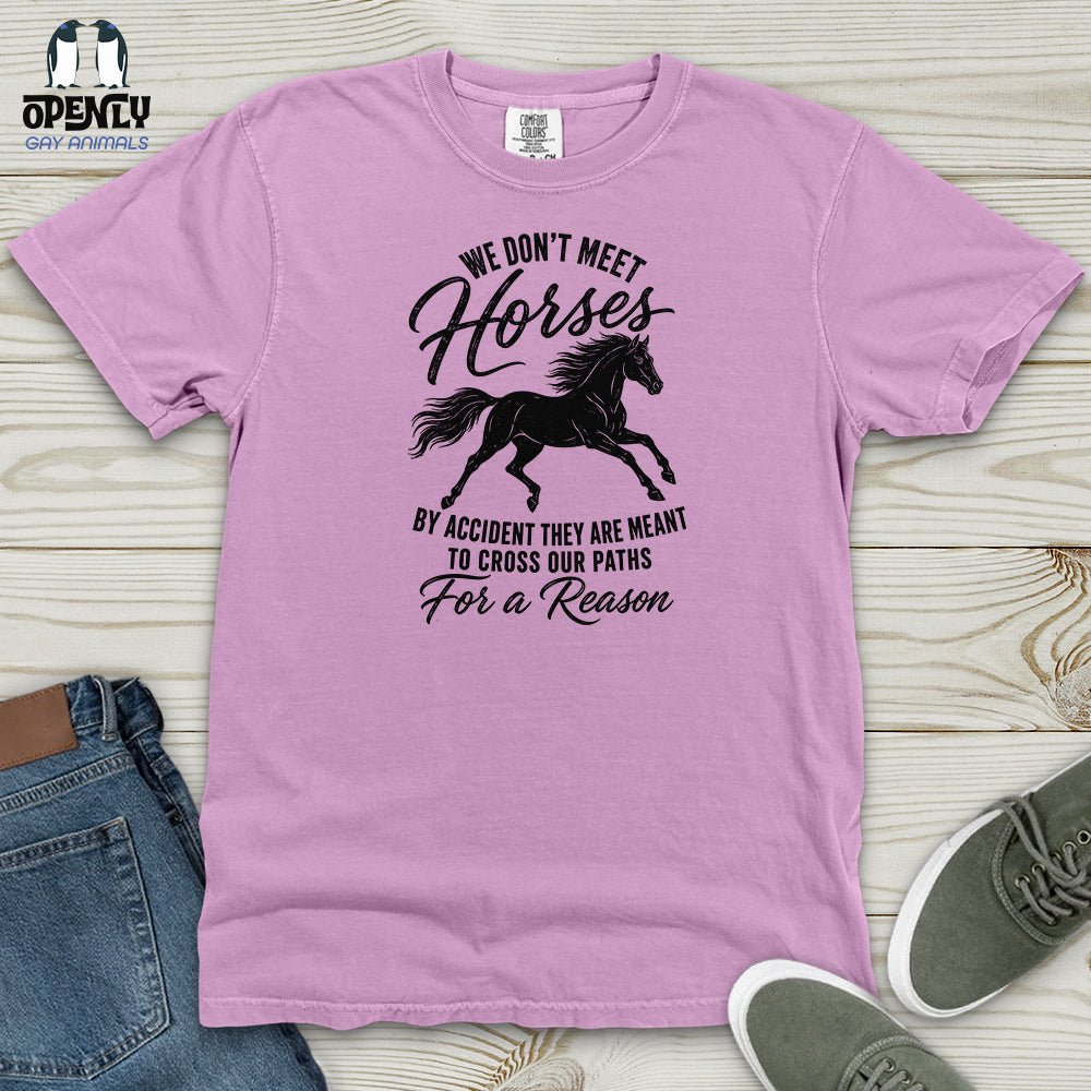 We Don't Meet Heavy Cotton Comfort Colors Tee