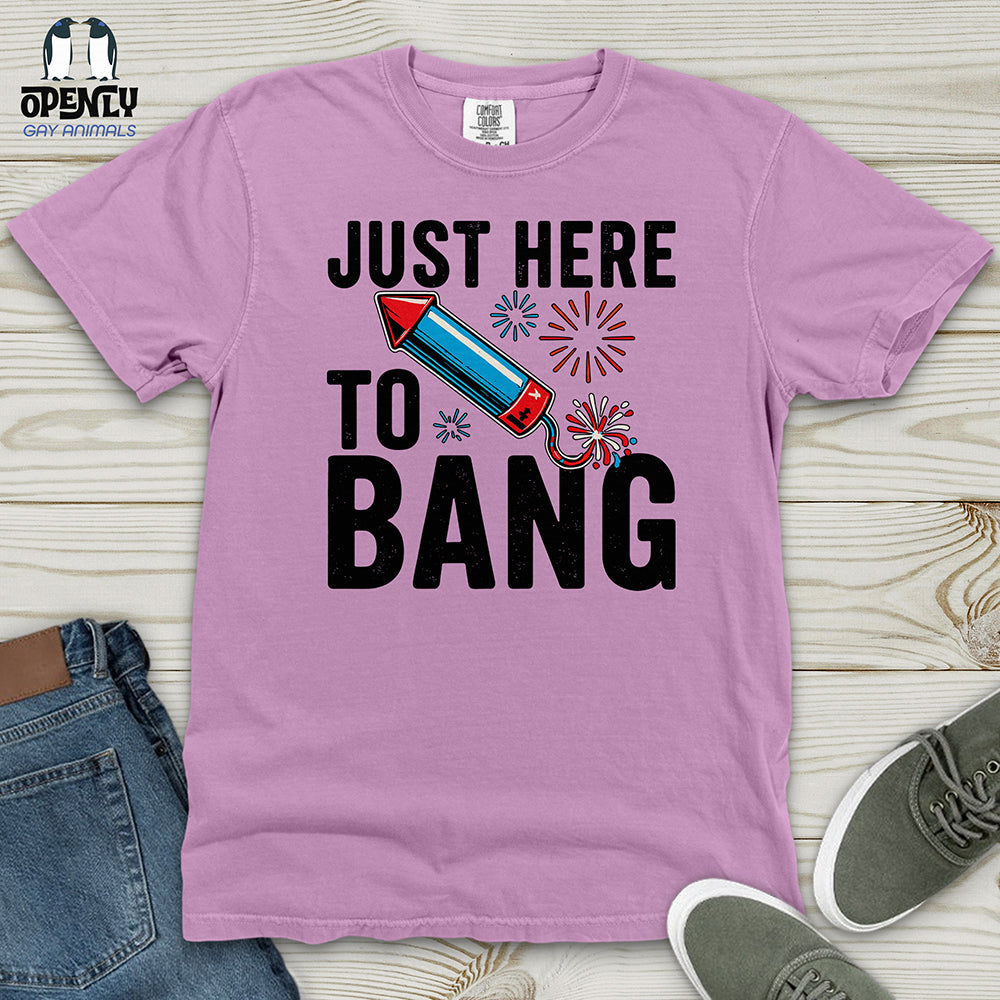 Just Here To Bang 02 Heavy Cotton Comfort Colors Tee