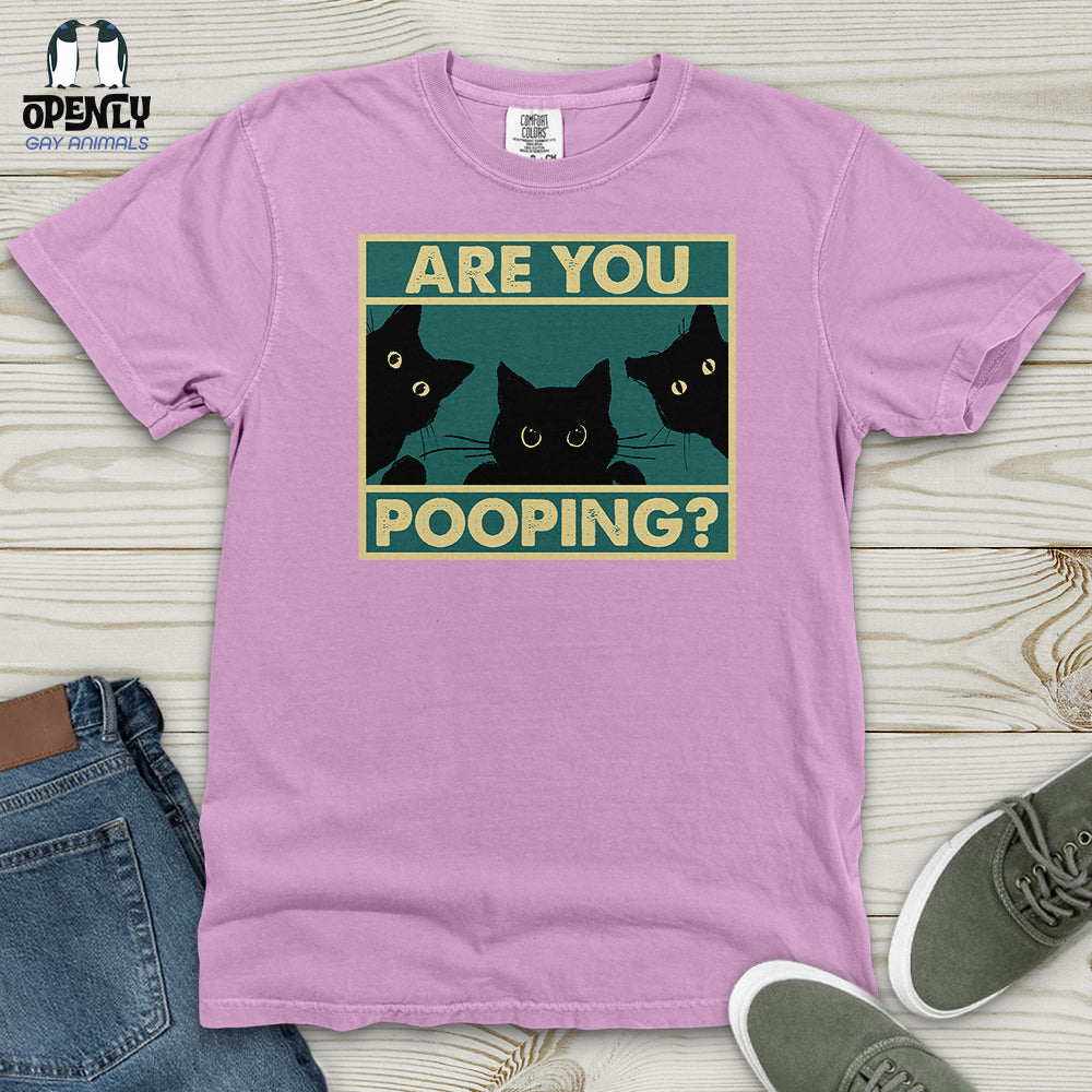 Are You Pooping Heavy Cotton Comfort Colors Tee
