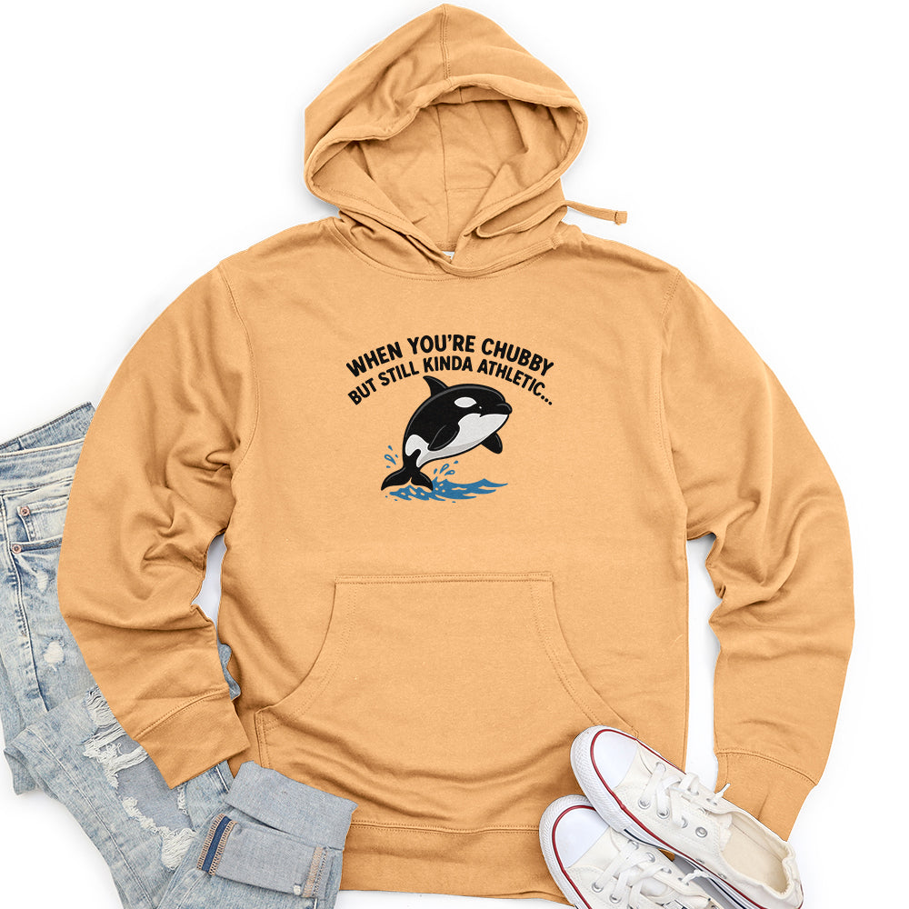When You're Chubby Unisex midweight hoodie