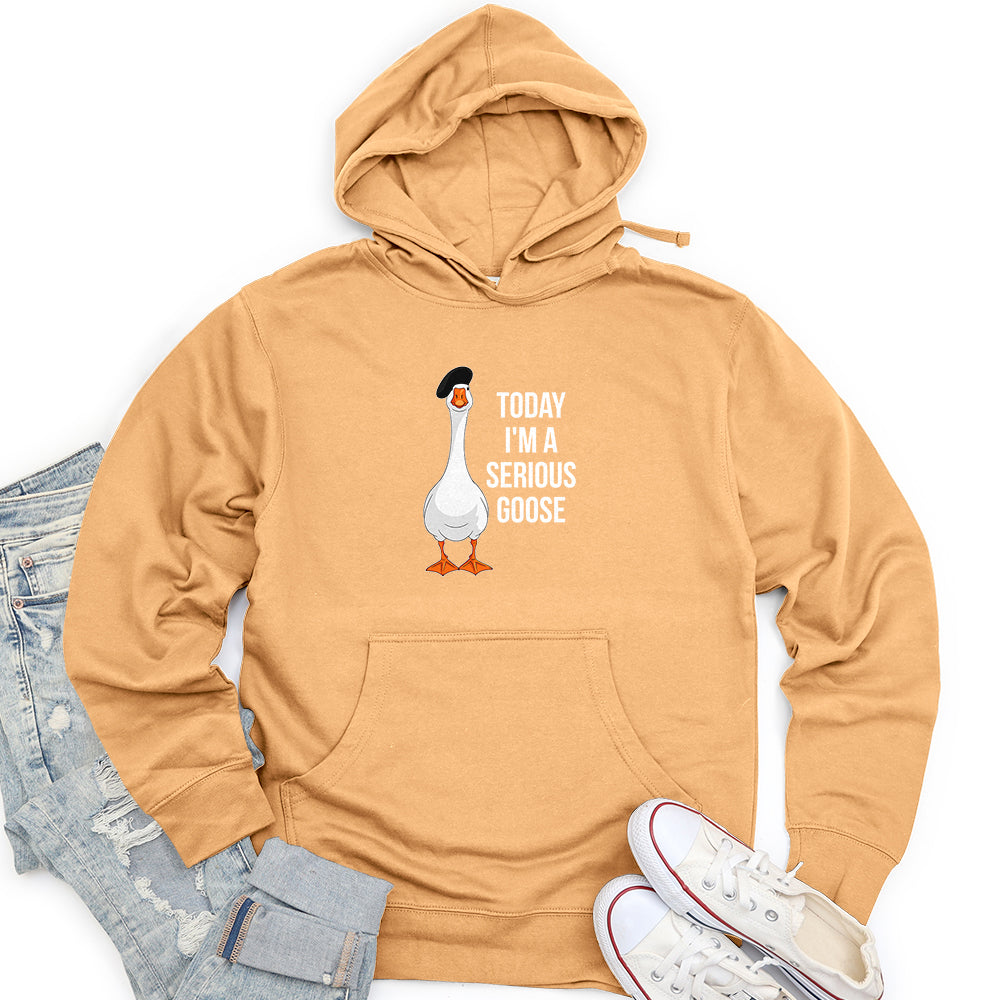 Today I'm a Serious Goose 2 Unisex midweight hoodie