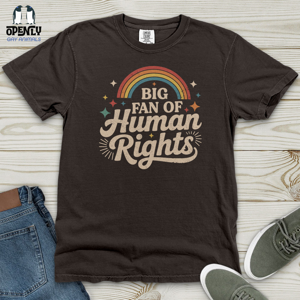 Big Fan Of Human Right 03 Heavy Cotton Comfort Colors Tee