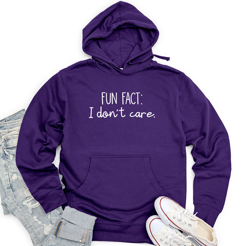 Fun Fact I Don't Care Unisex midweight hoodie