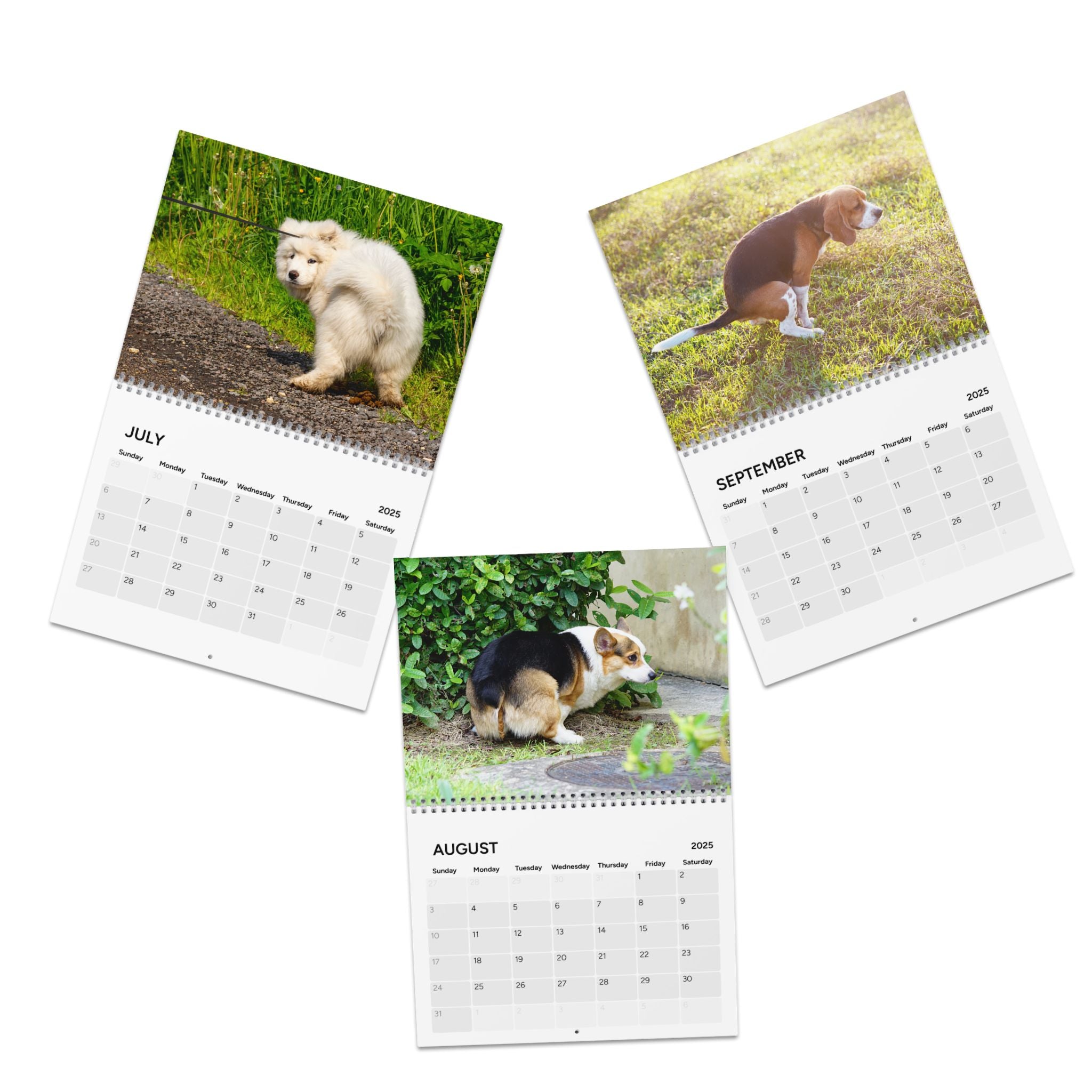 Pooping Dogs Calendar (2025)