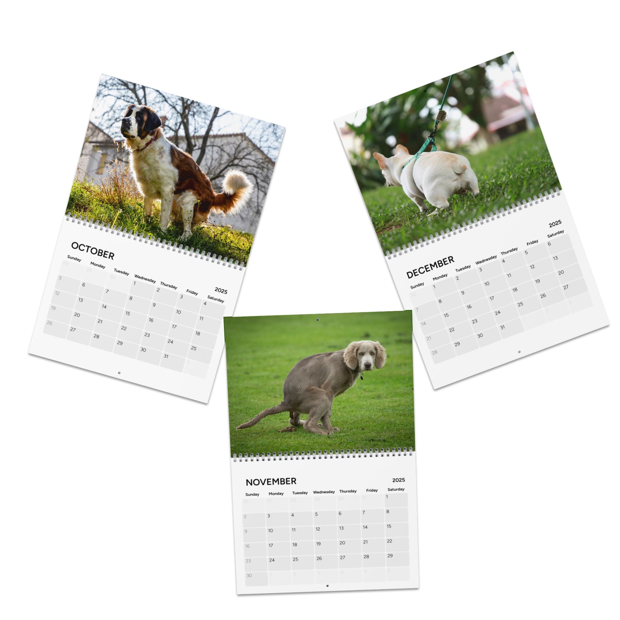 Pooping Dogs Calendar (2025)