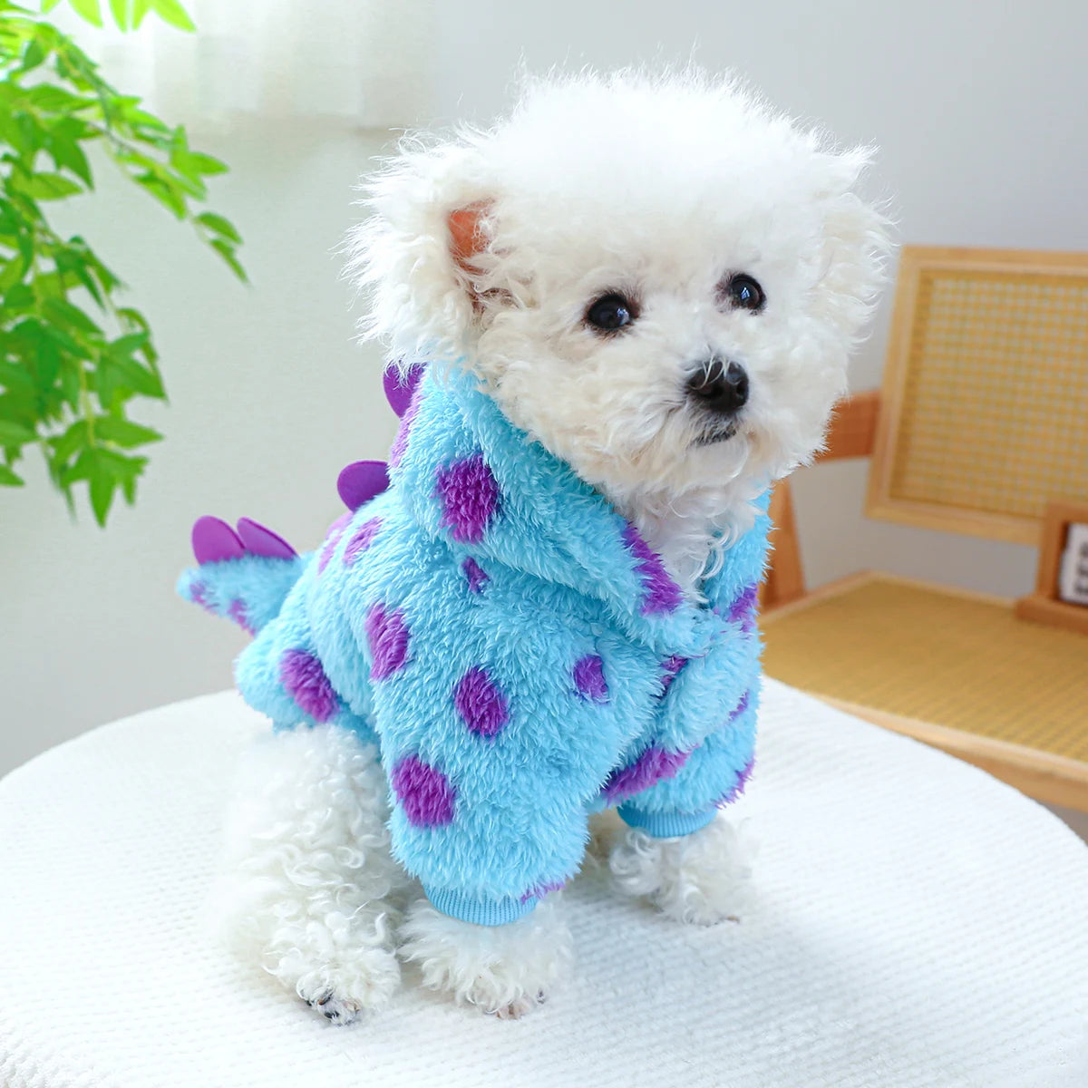 Hooded Blue Dinosaur Dog Coat