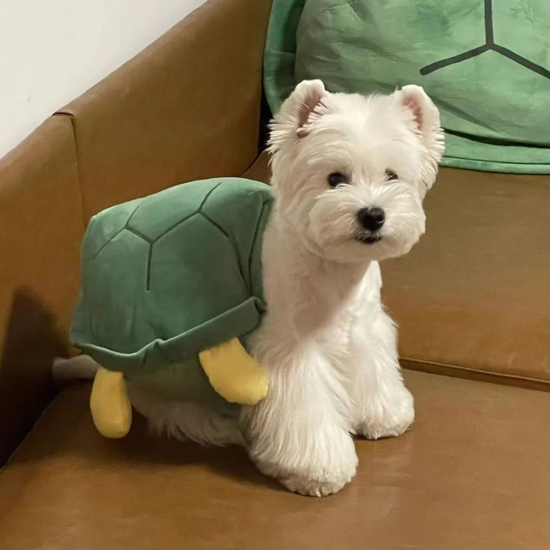 Dog Turtle Shell Pet Costume