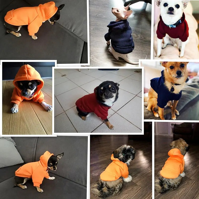 Pet Hoodies for Cats and Dogs Under 20 Pounds
