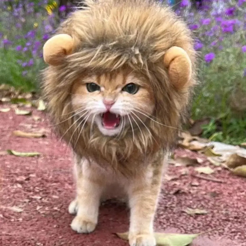 Cute Cat Wig Lion Mane Costume