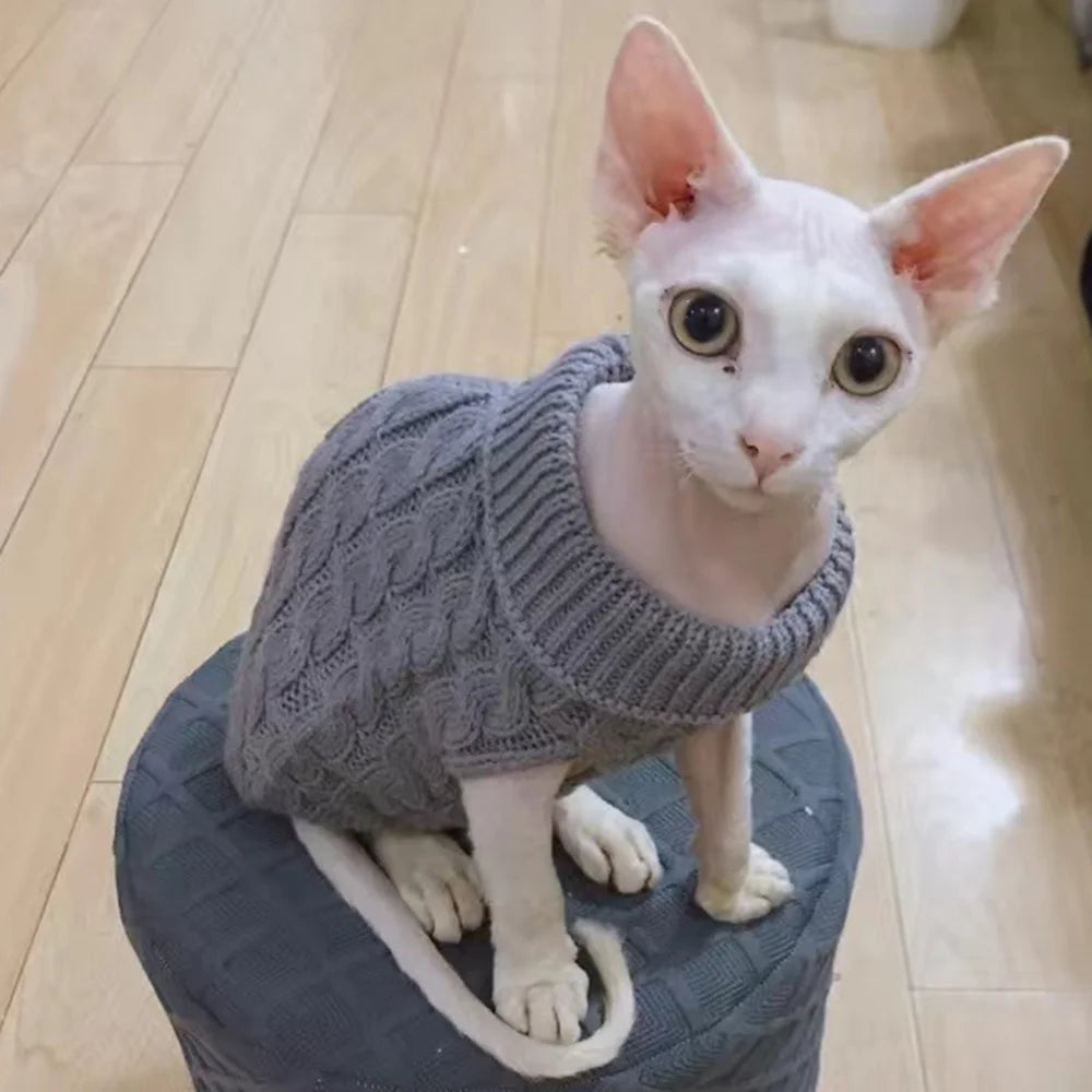 Knitted Cat Sweater