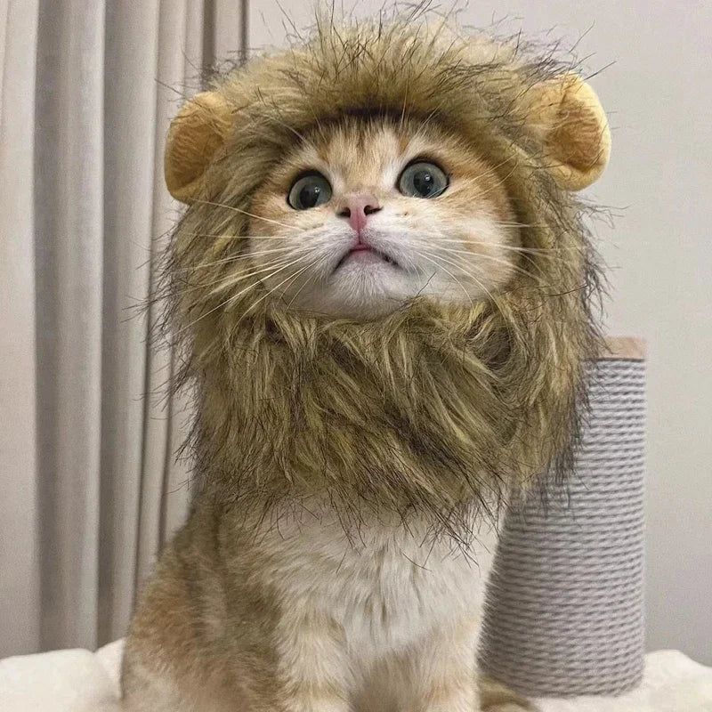 Cute Cat Wig Lion Mane Costume