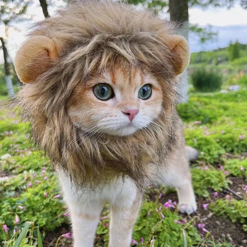 Cute Cat Wig Lion Mane Costume