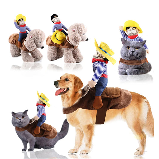 Halloween Dog Cowboy Costume