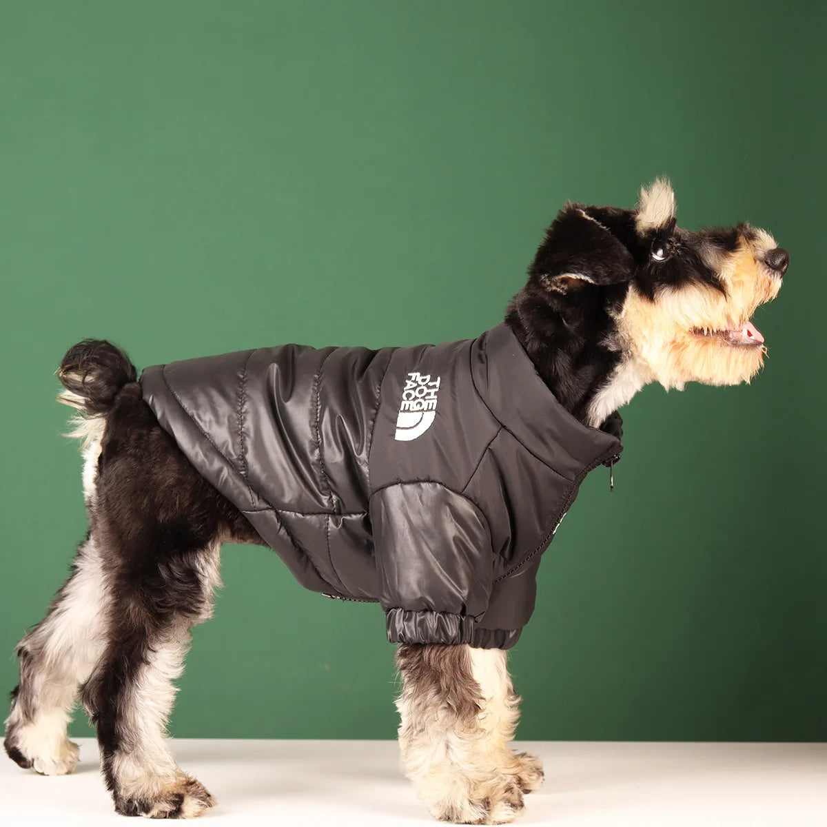 The Dog Face Puffy Jacket