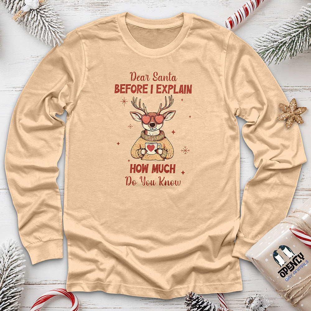 Dear Santa Before I Explain Unisex Long Sleeve Tee