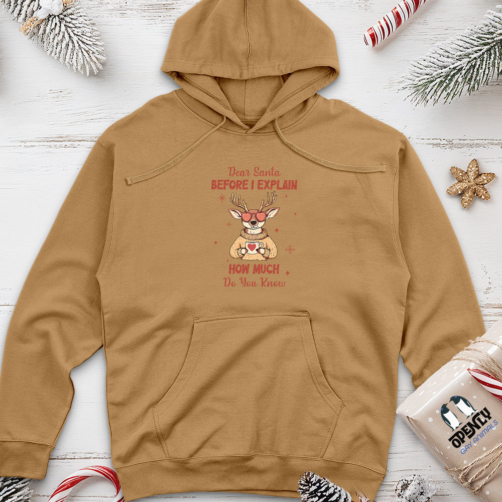 Dear Santa Before I Explain Unisex midweight hoodie