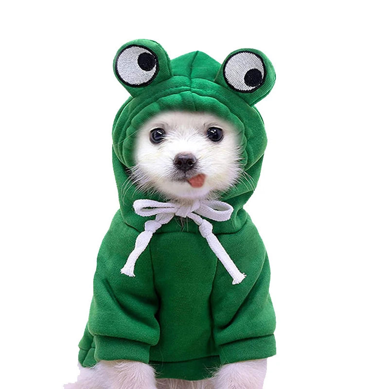 Dog Frog Hoodie