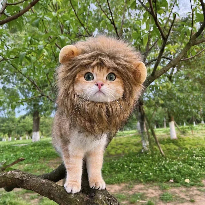 Cute Cat Wig Lion Mane Costume