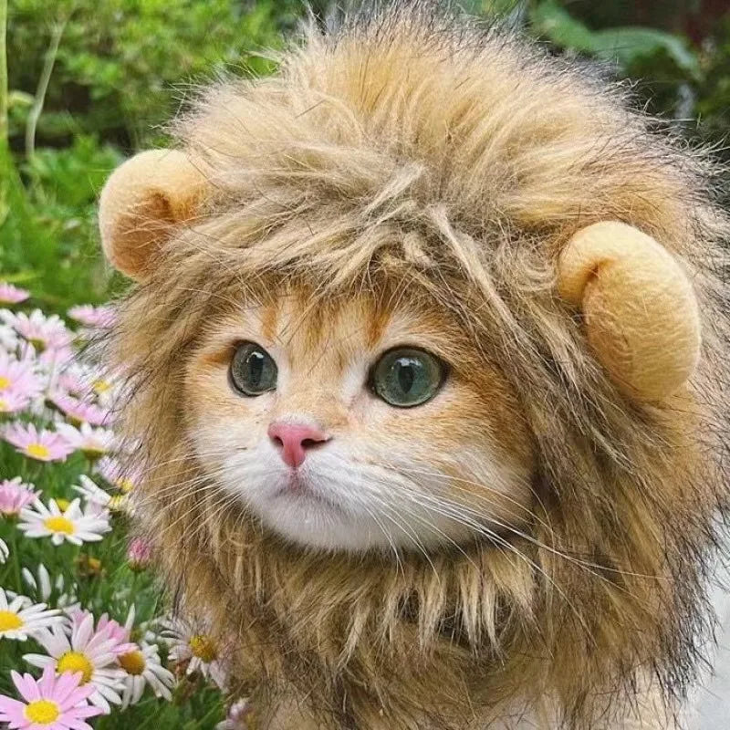 Cute Cat Wig Lion Mane Costume