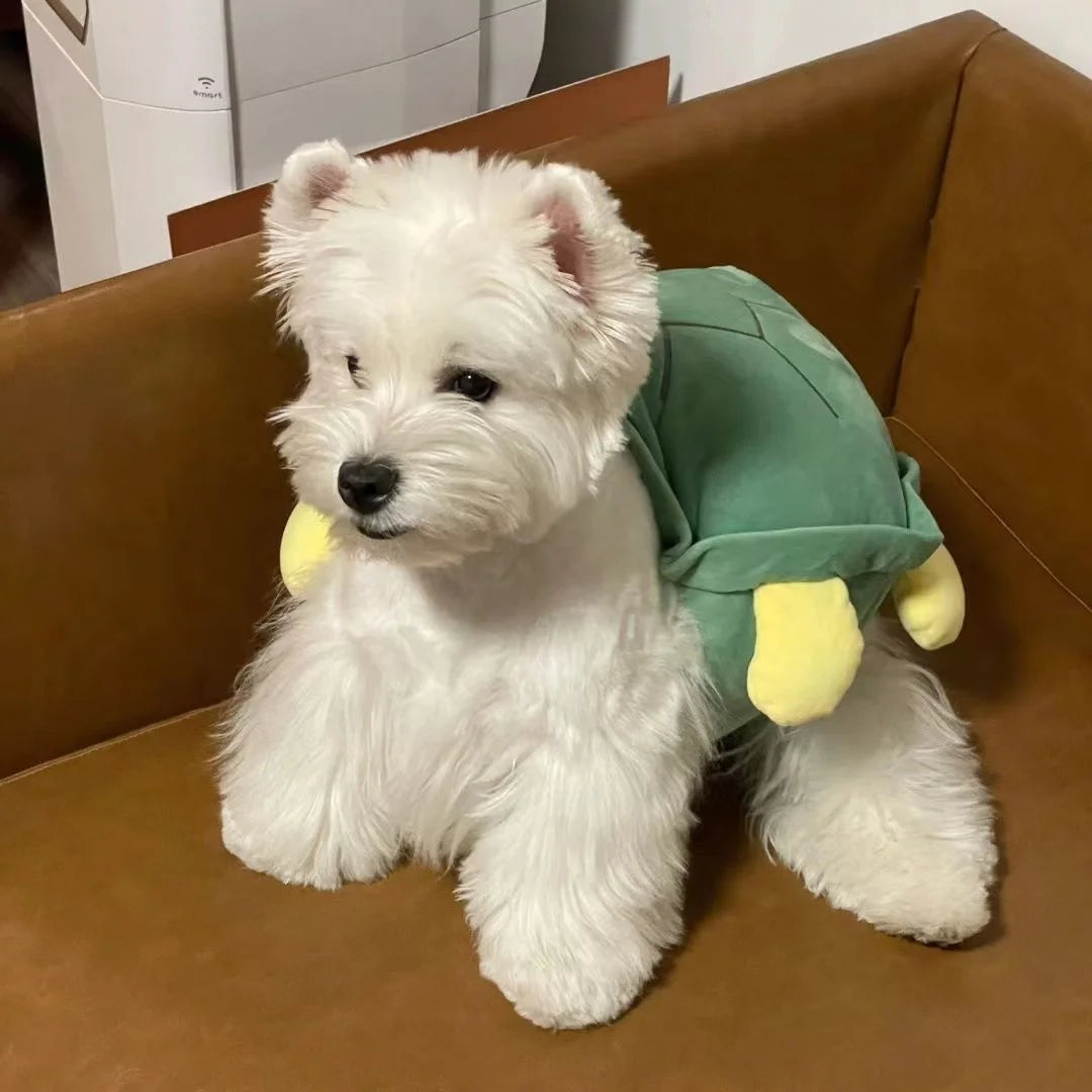 Dog Turtle Shell Pet Costume