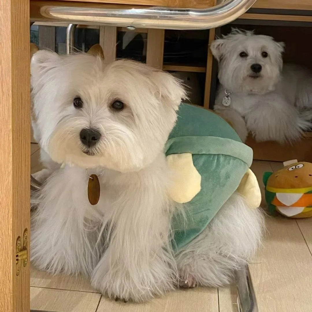 Dog Turtle Shell Pet Costume