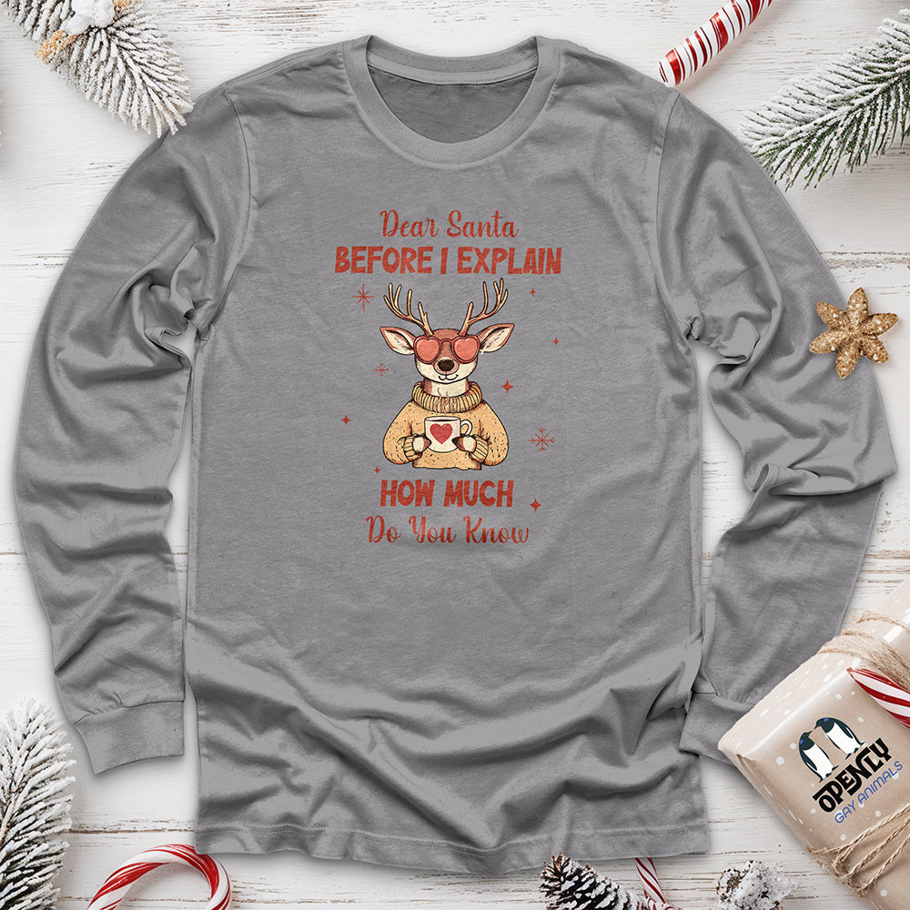 Dear Santa Before I Explain Unisex Long Sleeve Tee