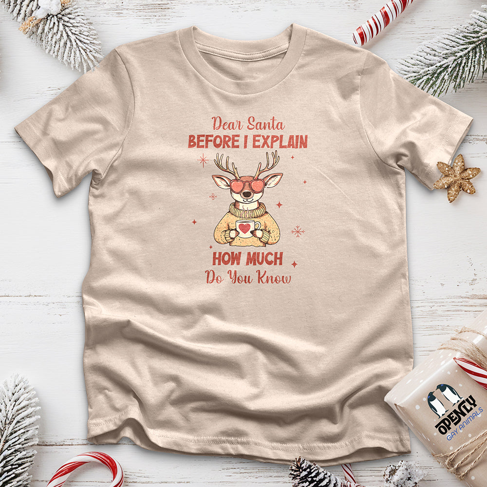 Dear Santa Before I Explain Unisex t-shirt