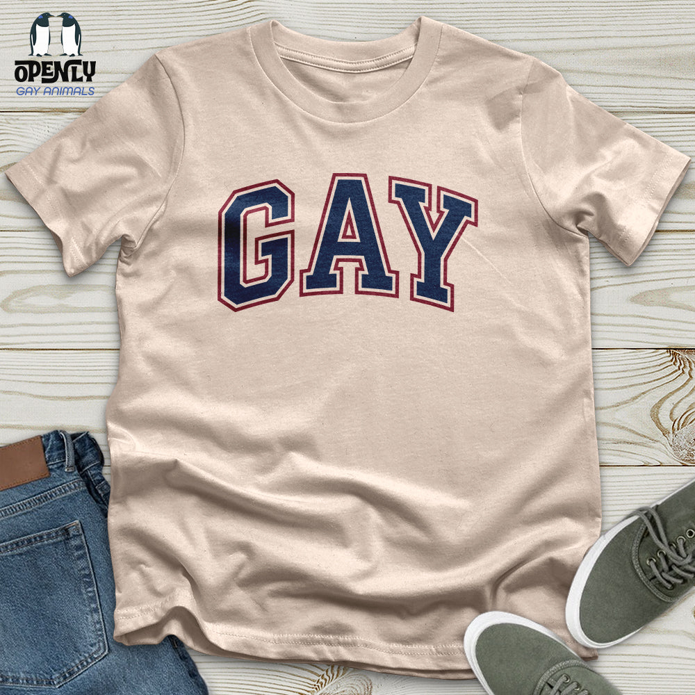 GAY Unisex T-Shirt