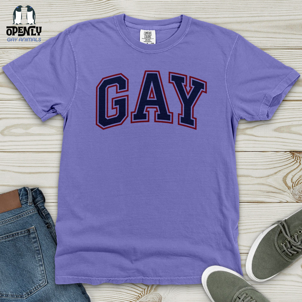 GAY Heavy Cotton Comfort Colors Tee