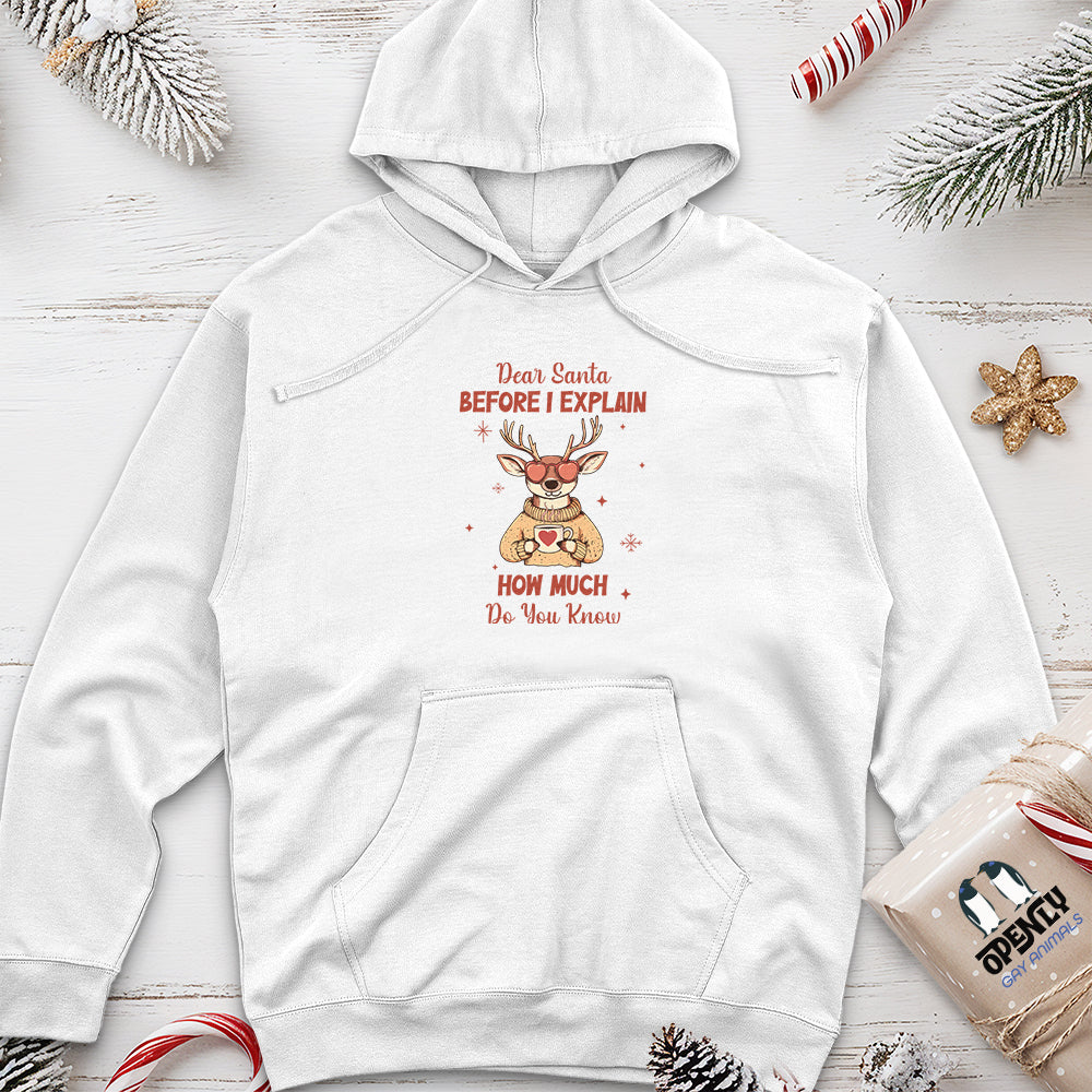 Dear Santa Before I Explain Unisex midweight hoodie