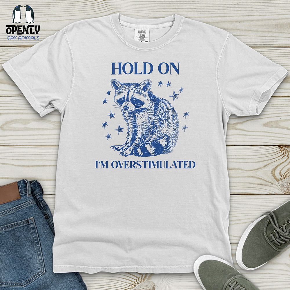 Hold on Heavy Cotton Comfort Colors Tee