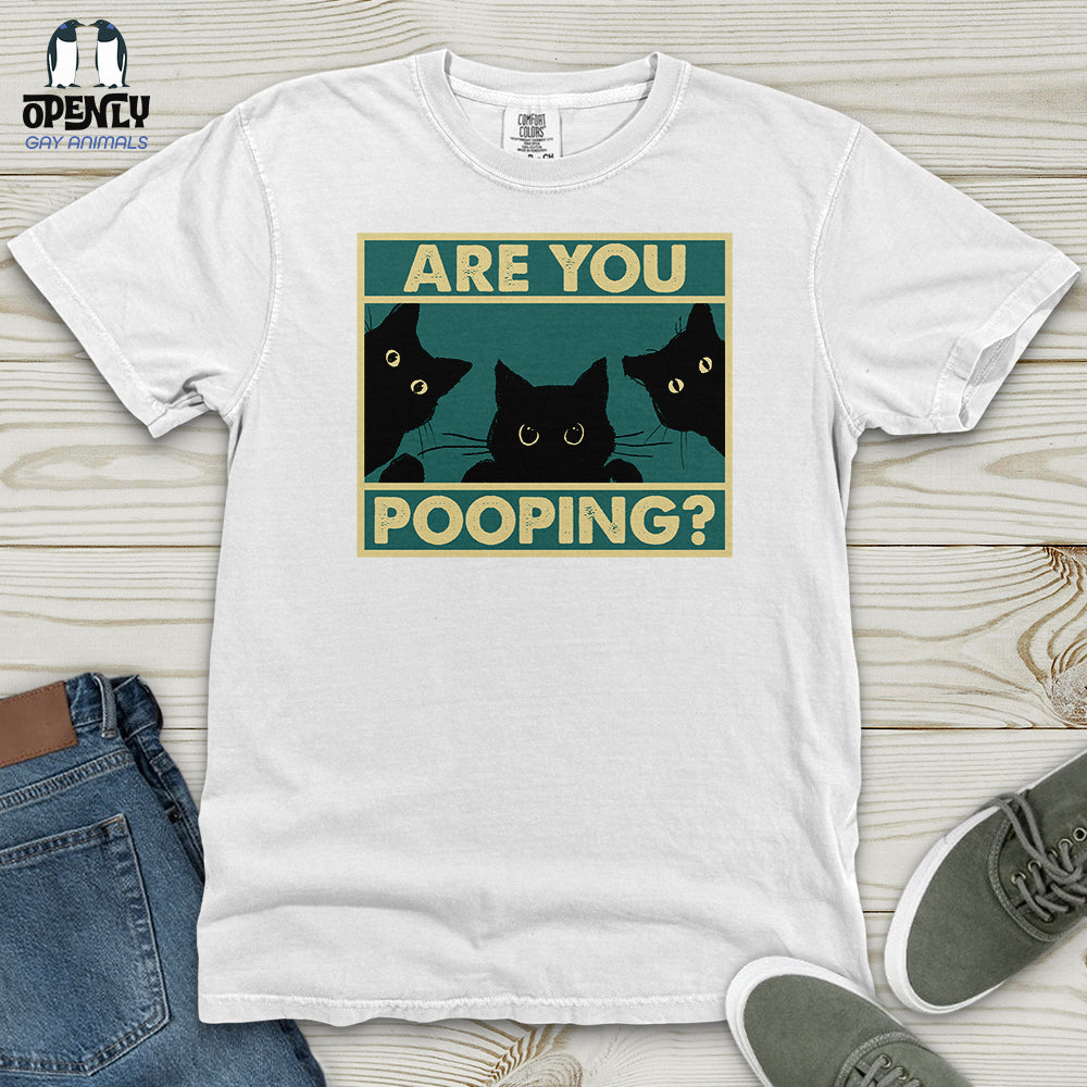 Are You Pooping Heavy Cotton Comfort Colors Tee