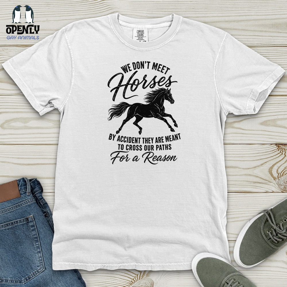 We Don't Meet Heavy Cotton Comfort Colors Tee