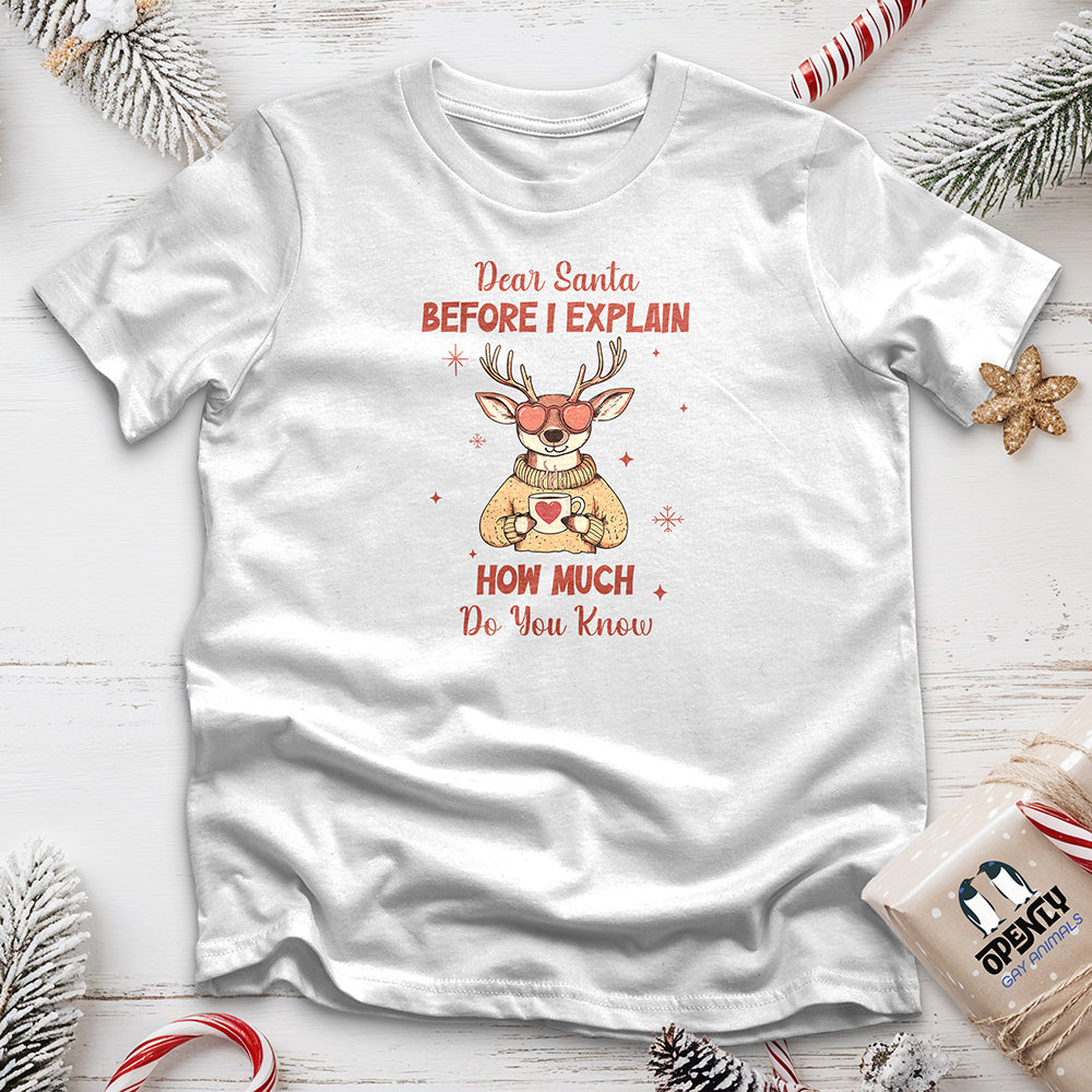 Dear Santa Before I Explain Unisex t-shirt