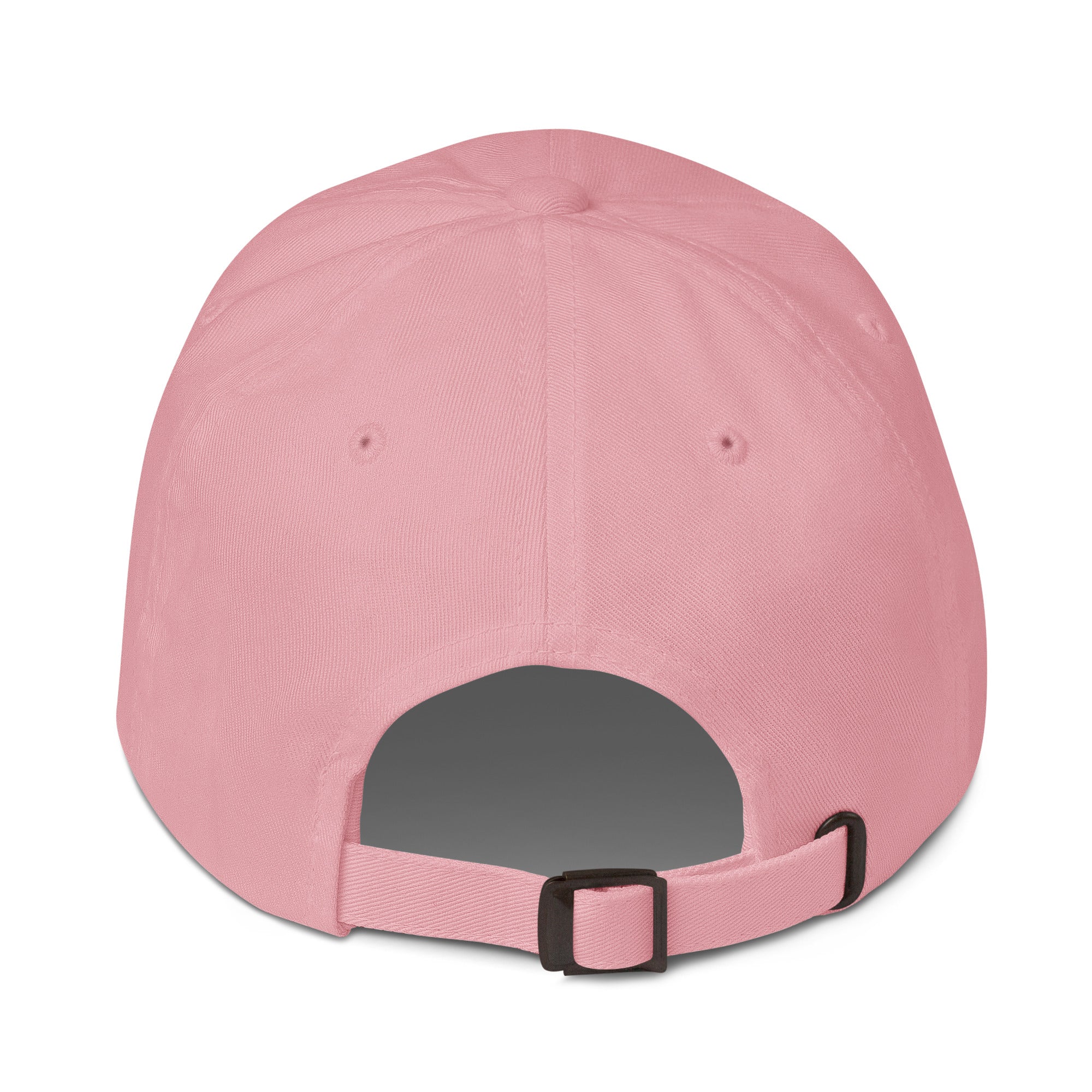 Scholarly Ladybug Dad hat