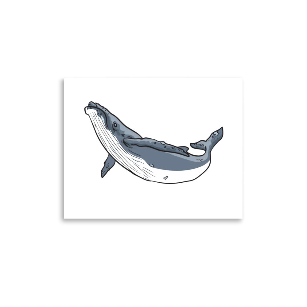 Whale Poster