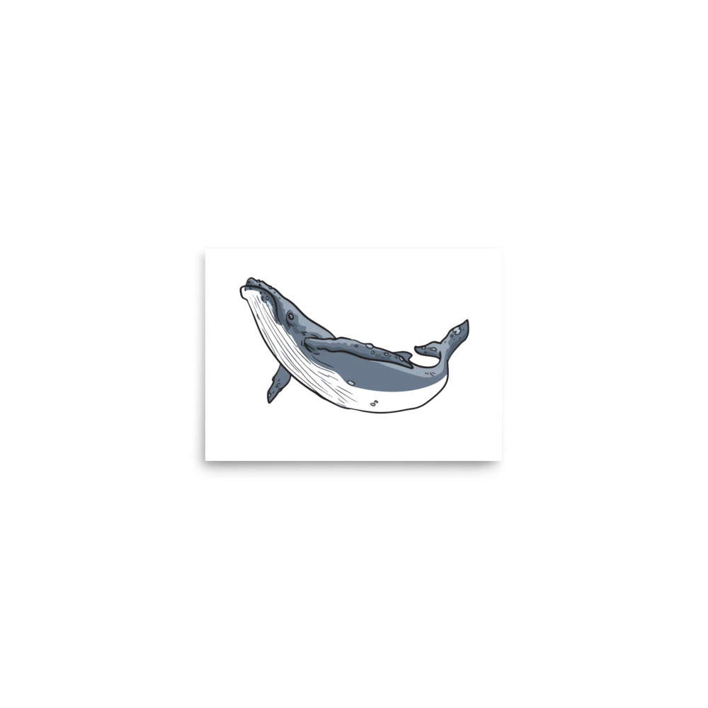 Whale Poster