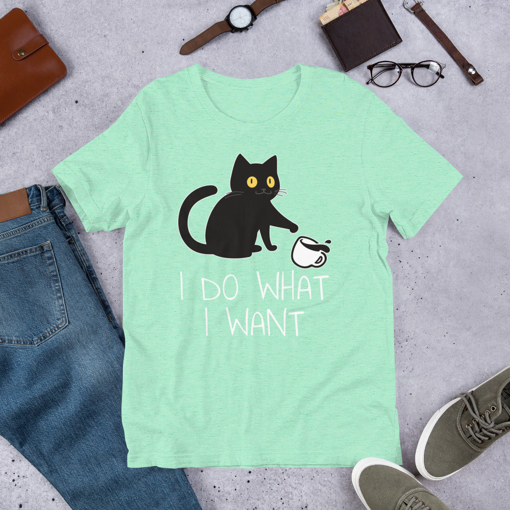 I Do What I want Unisex t-shirt